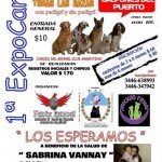 Imagen destacada del artículo «Exposición en Gualeguaychú,»